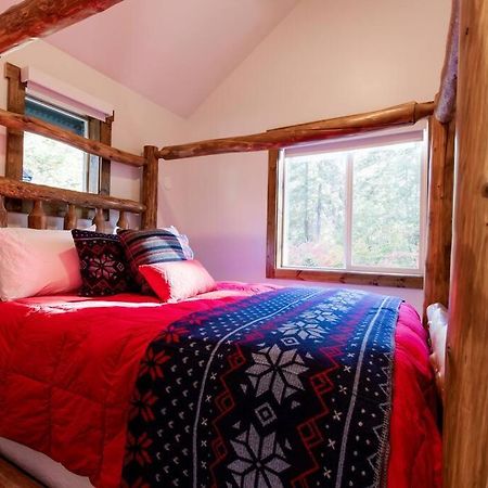 فيلا ليفينورثفي Ski Chalet A Cozy Little Cabin In The Woods Near Lake Wenatchee المظهر الخارجي الصورة
